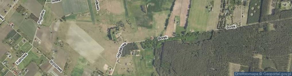 Zdjęcie satelitarne Głogowa ul.